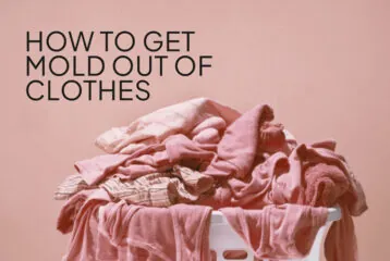 how to get mold out of clothes