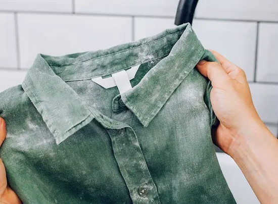 how to remove mold from your clothes