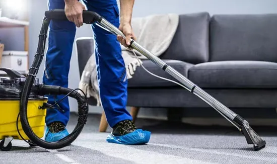 remove mold from rugs and carpets